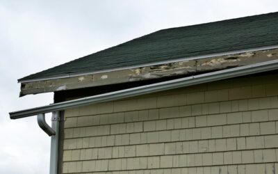 Why Putting Off Roof Repairs Can Cost You In The Long Run