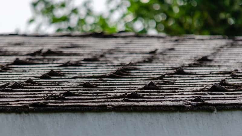 Curled or buckled shingles repair BLC Roofing Akron OH