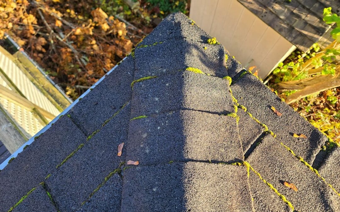 Spotting The Signs: How To Know When Your Roof Needs Repairs