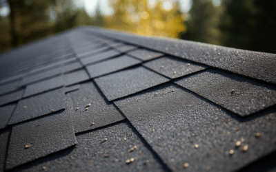 The Ultimate Guide to Protecting and Preserving Your Asphalt Shingles