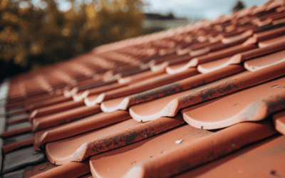 The Importance of Understanding Your Roof’s Age