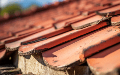 4 Key Factors Leading to a Sagging Roof