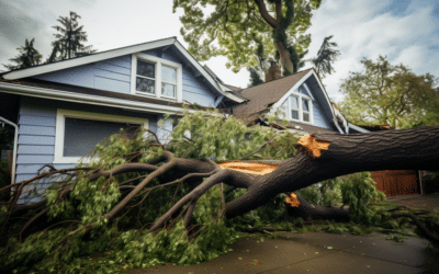 Protecting Your Roof from Tree Damage