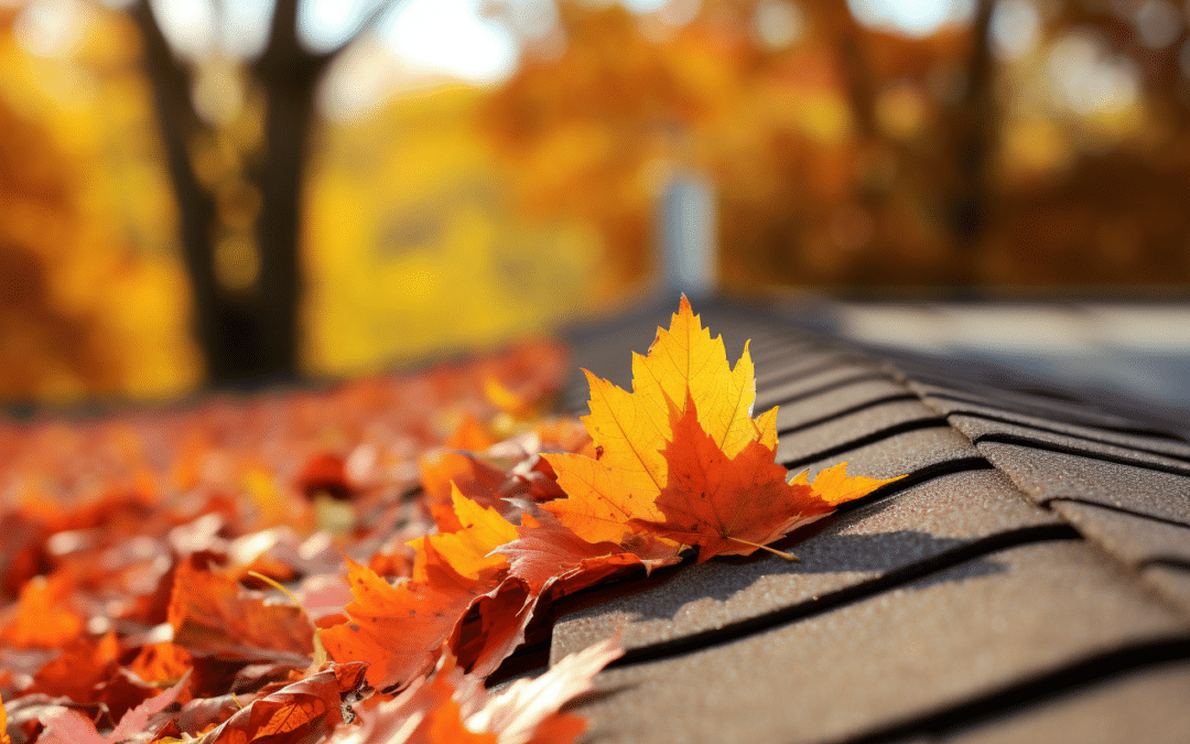 Why Autumn is the Optimal Time for Roof Maintenance