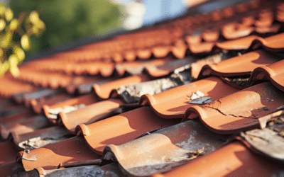 Common Roofing Defects and Effective Solutions